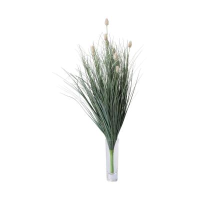 Fuchsschwanzgras