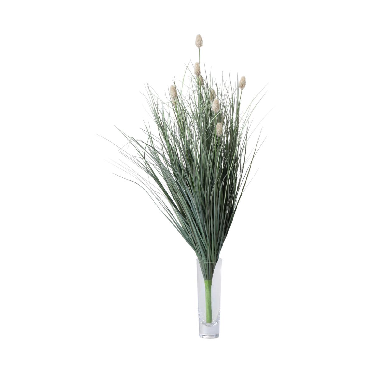 Fuchsschwanzgras