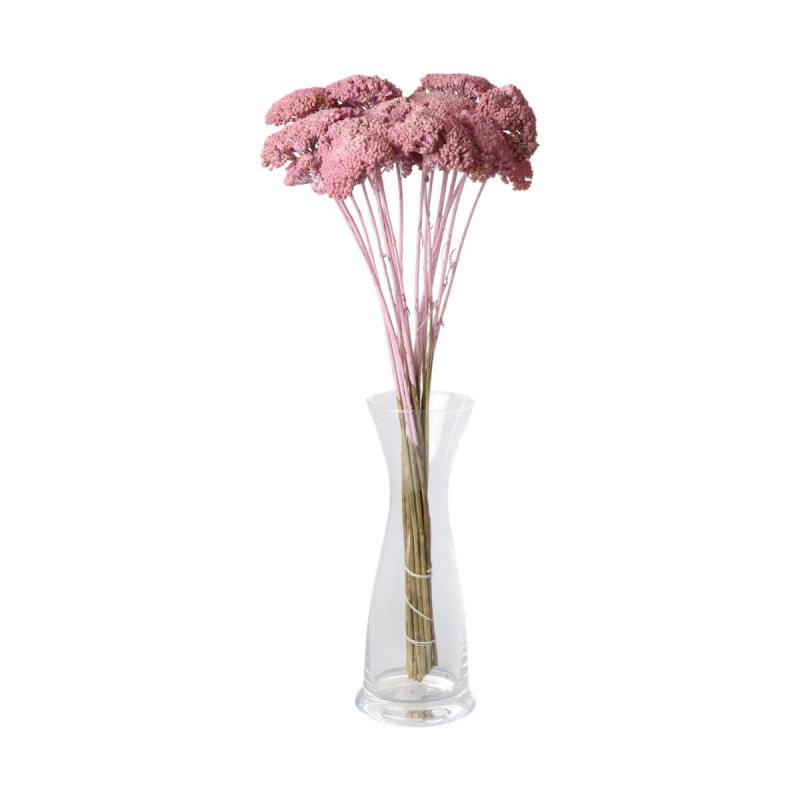 Achillea farbig wall-paint rosa 200g