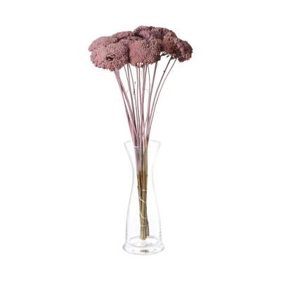 Achillea farbig wall-paint malva 200g