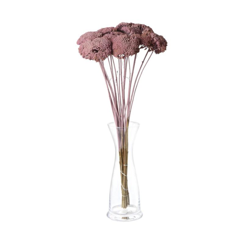 Achillea farbig wall-paint malva 200g