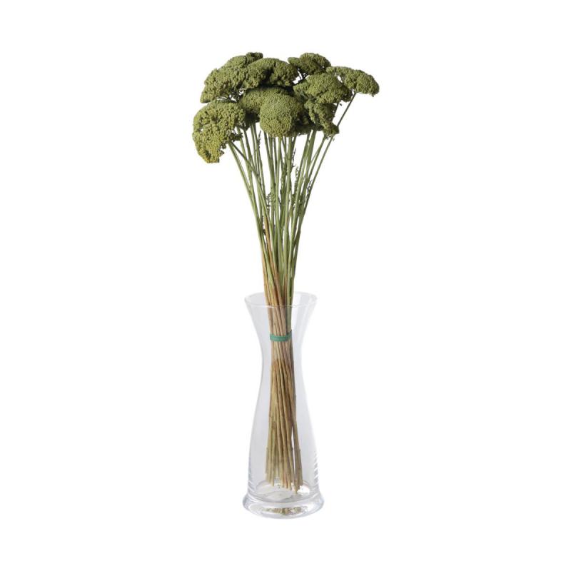 Achillea farbig wall-paint olive 200g