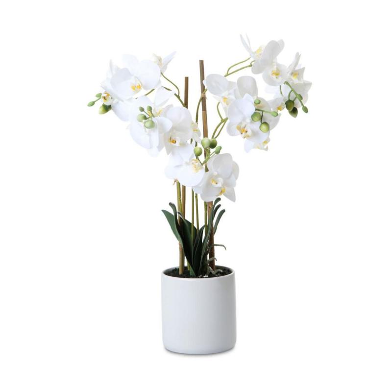 Phalaenopsis Real Touch im Topf