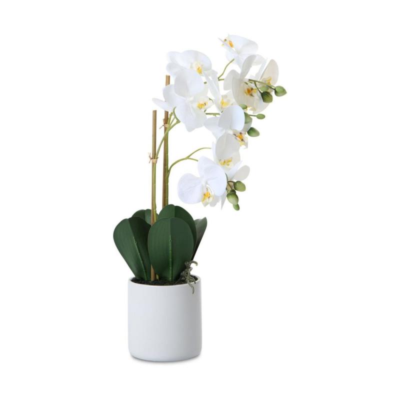 Phalaenopsis Real Touch im Topf