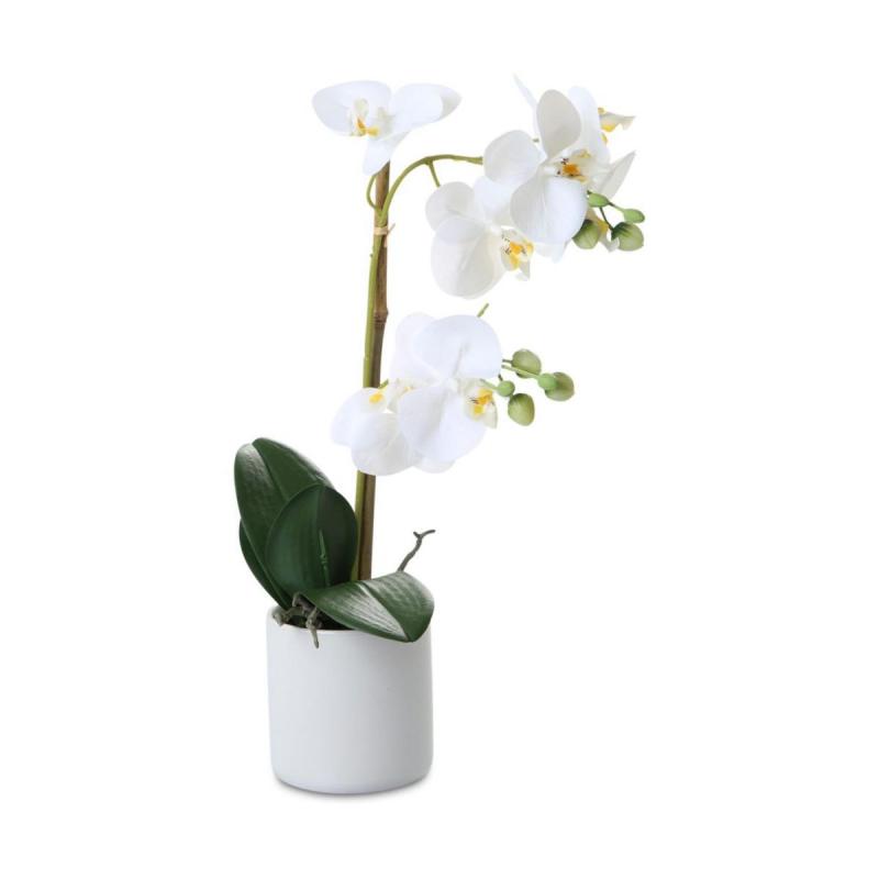 Phalaenopsis Real Touch im Topf
