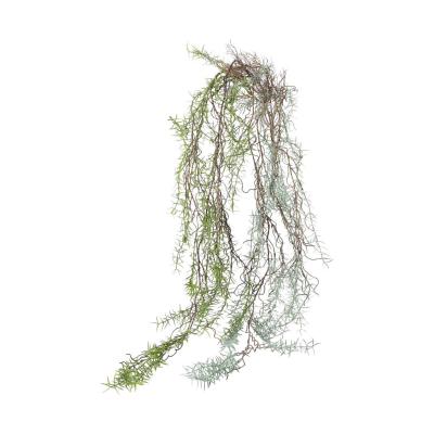 Asparaguszweig Mix