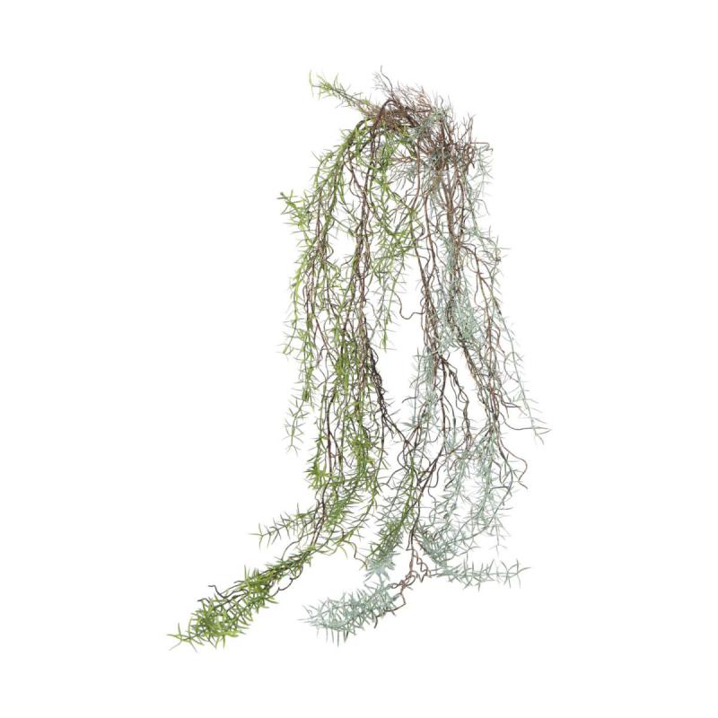 Asparaguszweig Mix