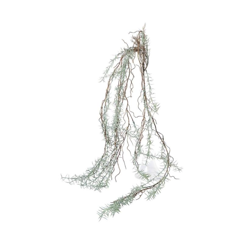 Asparaguszweig Mix