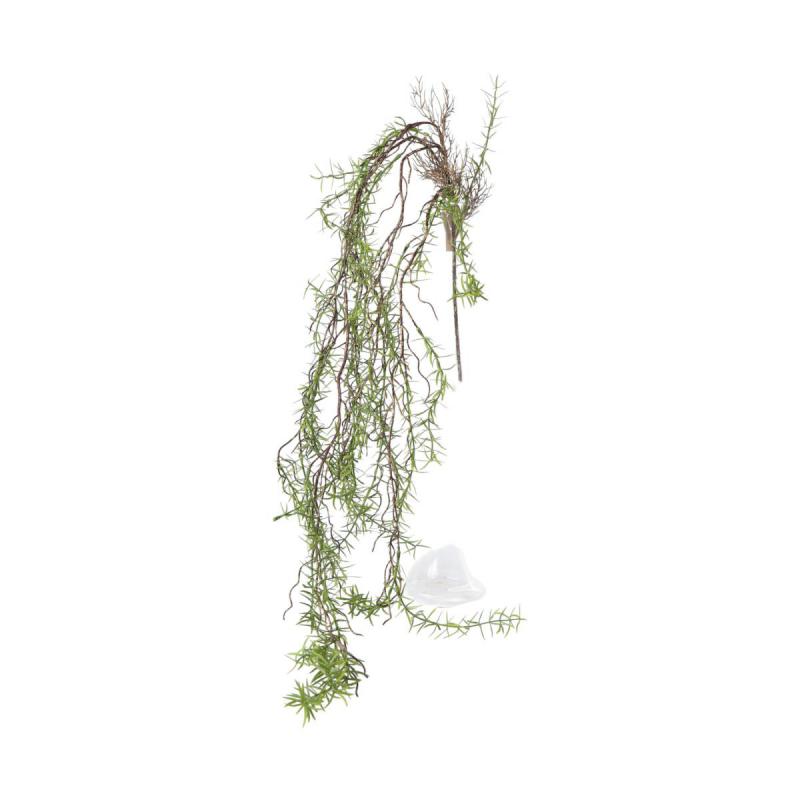 Asparaguszweig Mix