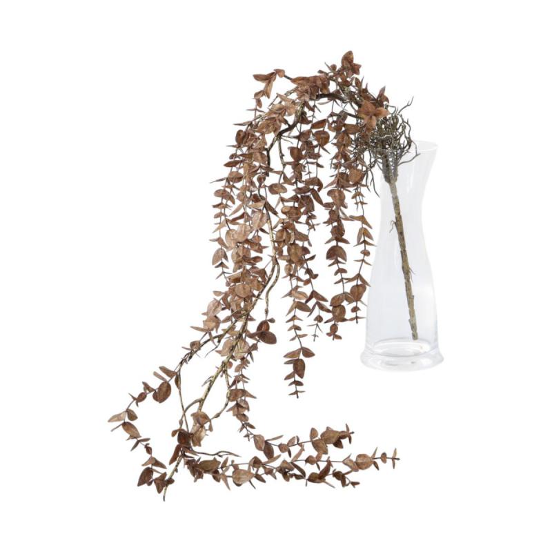 Eukalyptus Mix
