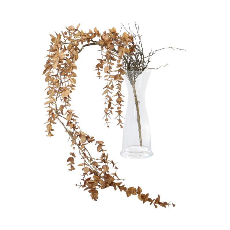 Eukalyptus Mix