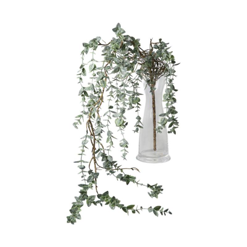 Eukalyptus Mix