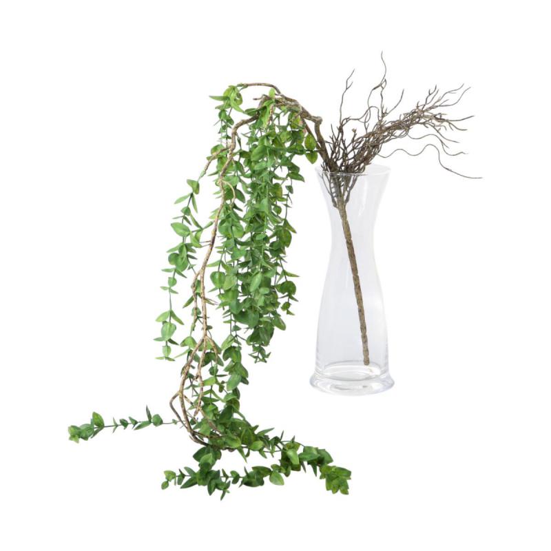 Eukalyptus Mix