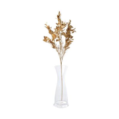 Ruscus gold