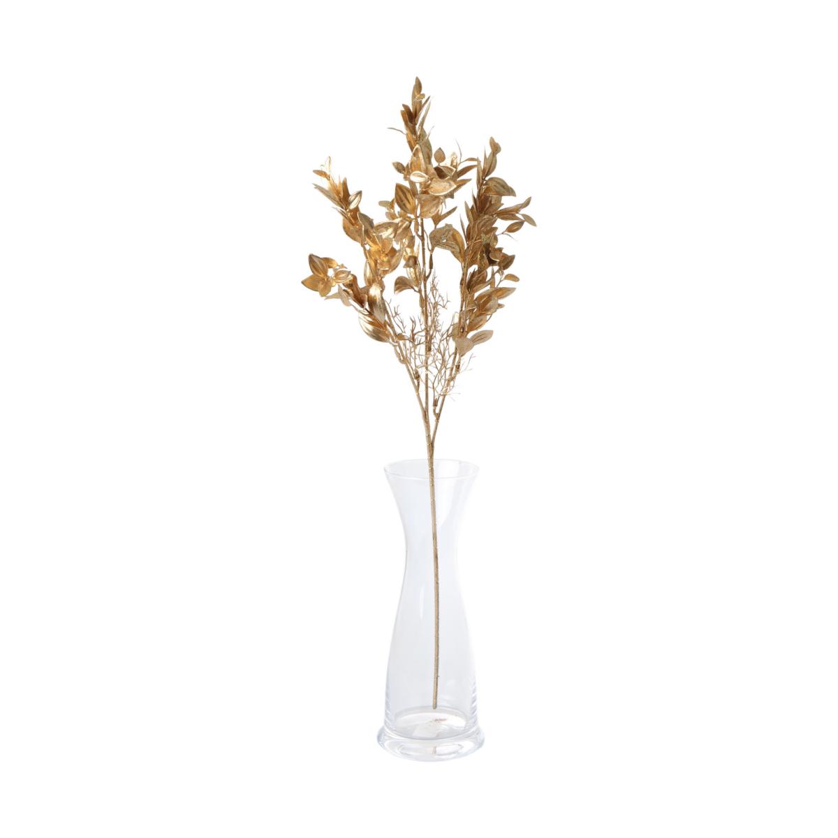 Ruscus gold
