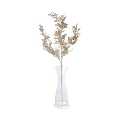 Ruscus champagner