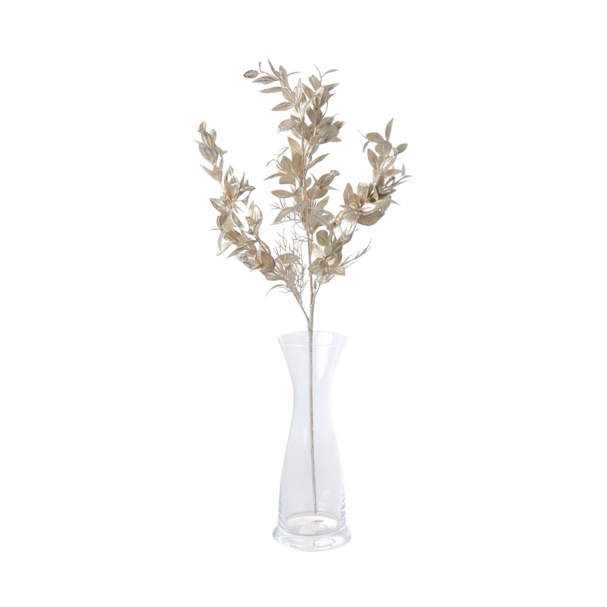 Ruscus champagner