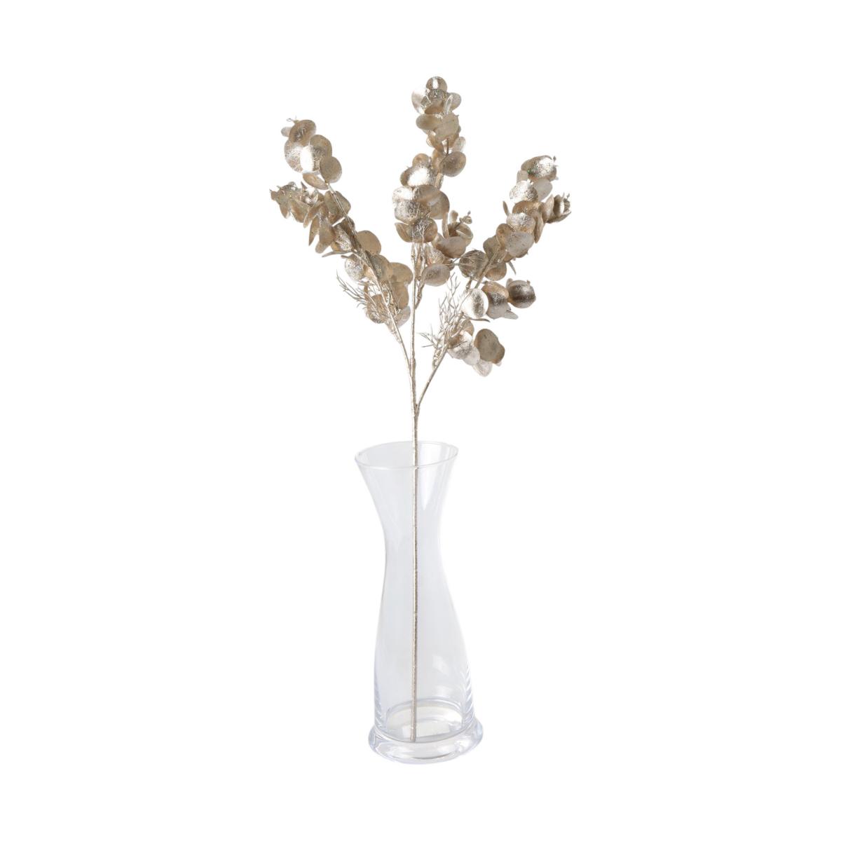 Eukalyptus champagner