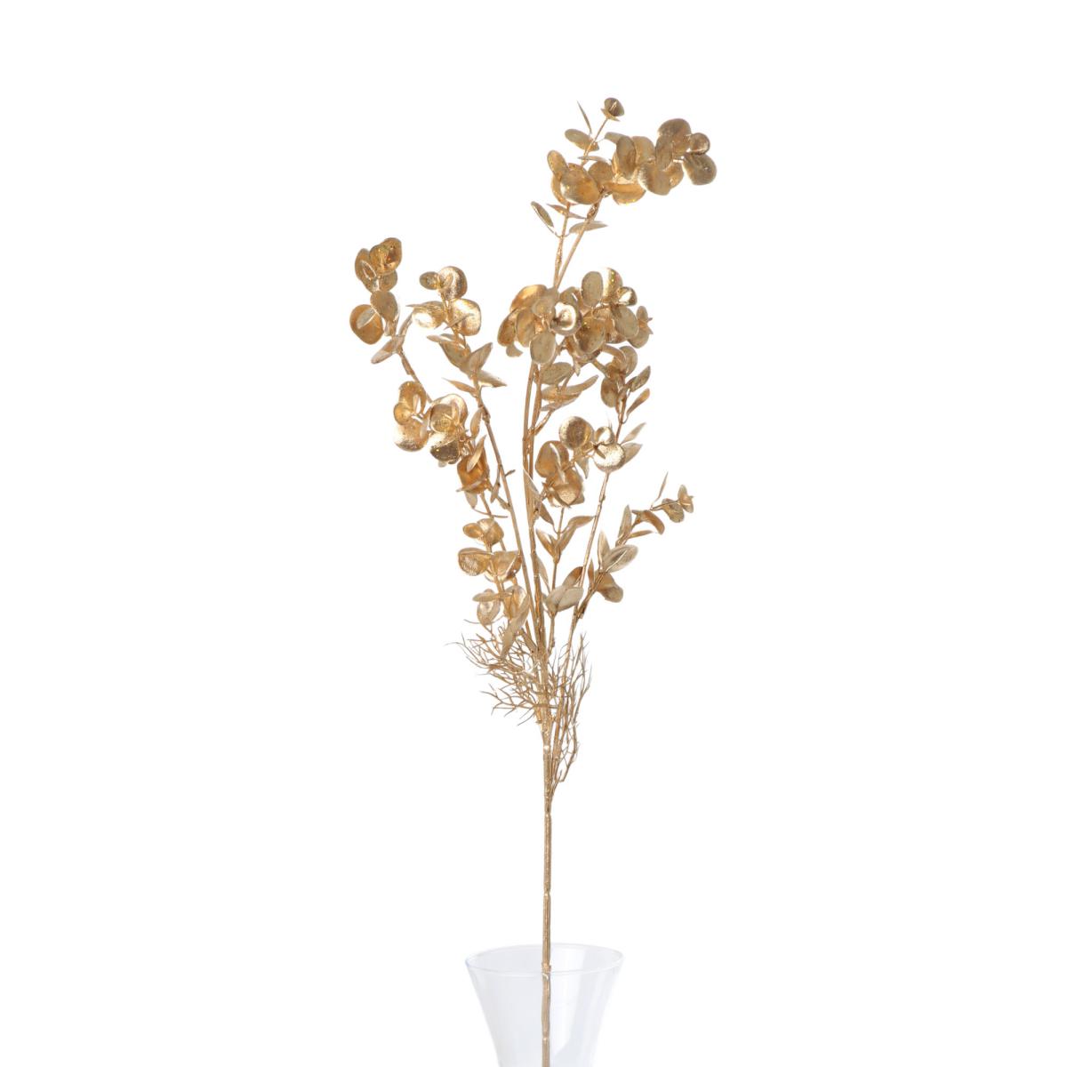 Eukalyptus Gold