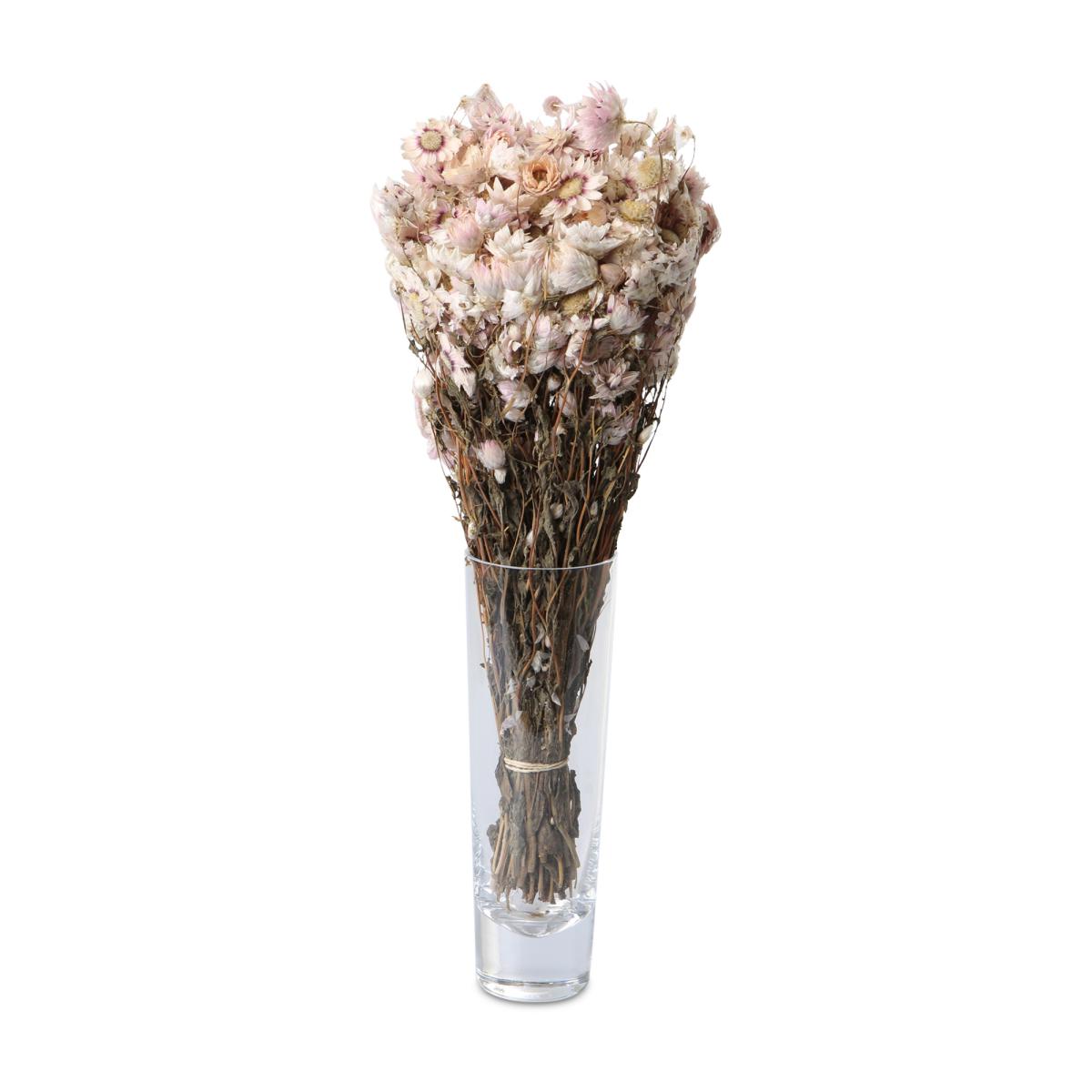 Helipterum Rhodante 25-40cm rosa