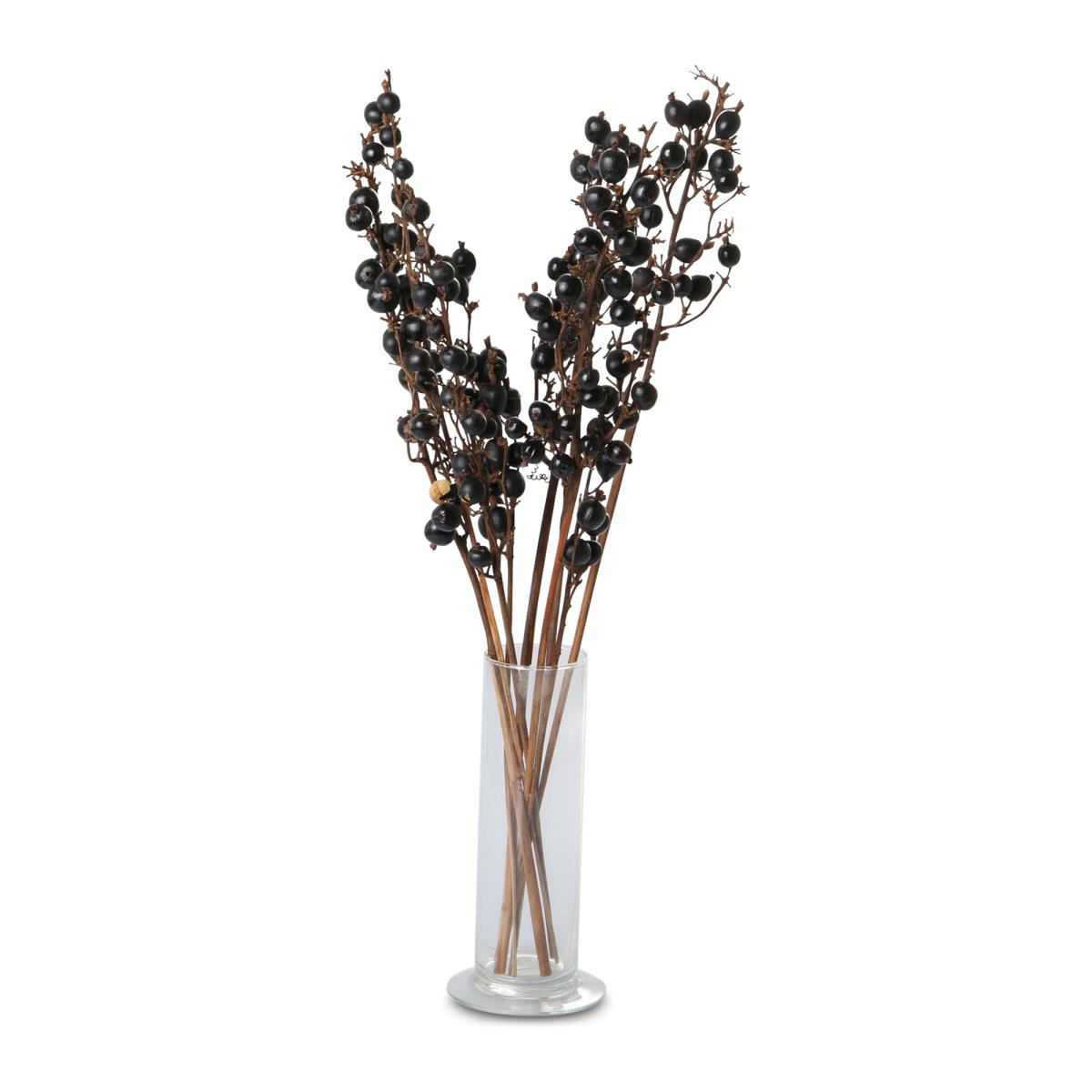 Black berry lackiert