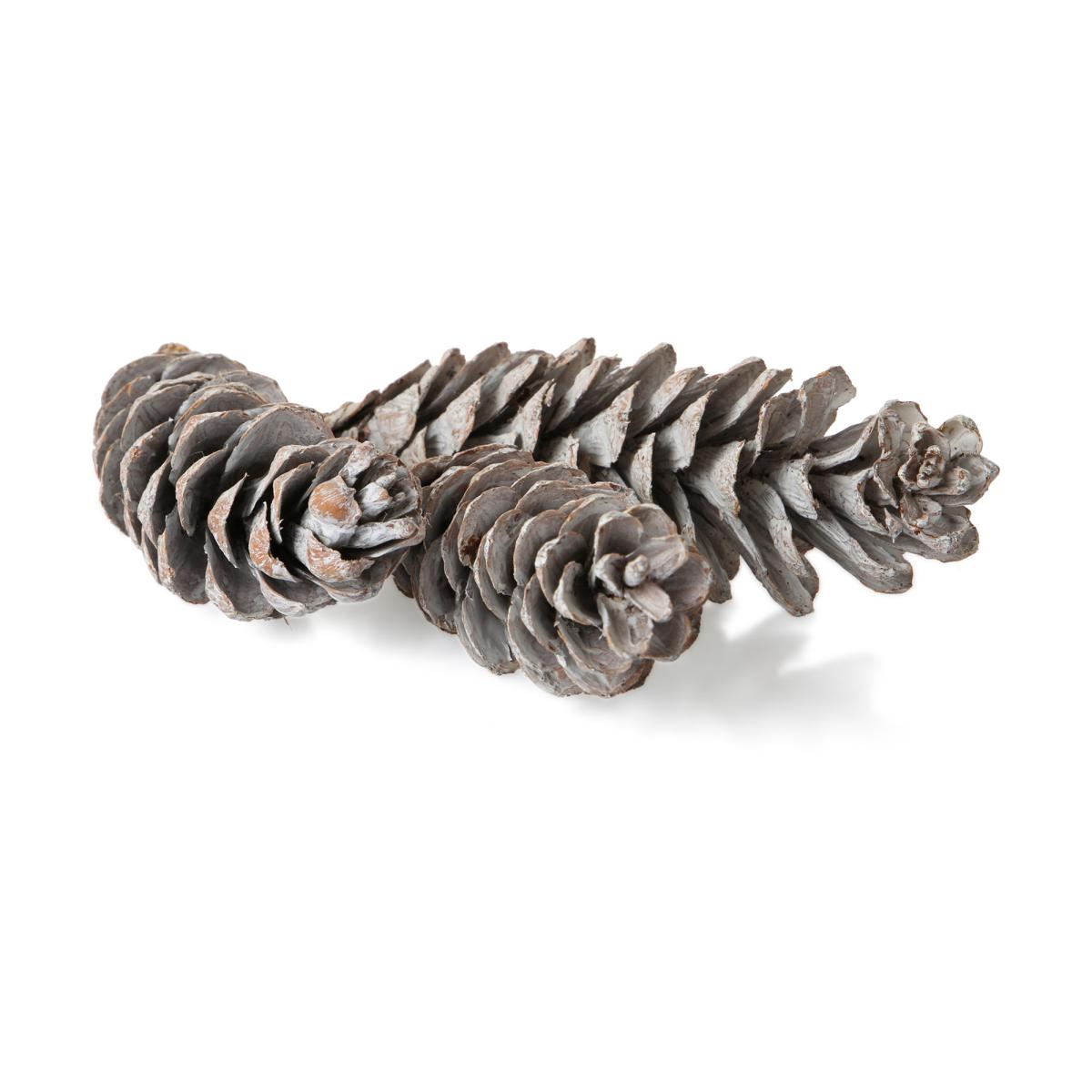 Strobus Mix white washed