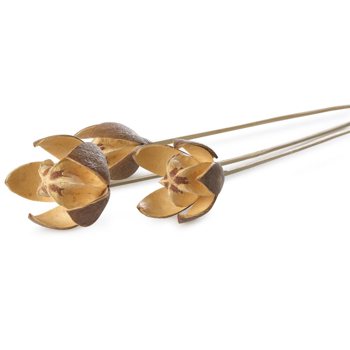 Wildlilie lackiert gestielt