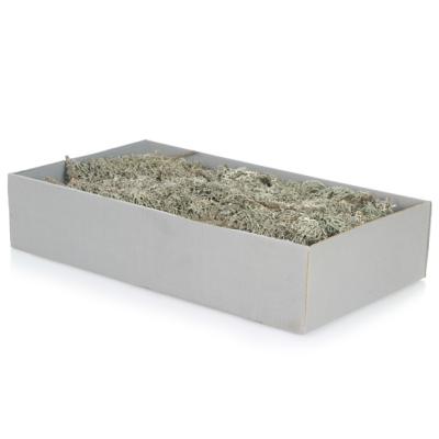 Graumoos mit Zweigen