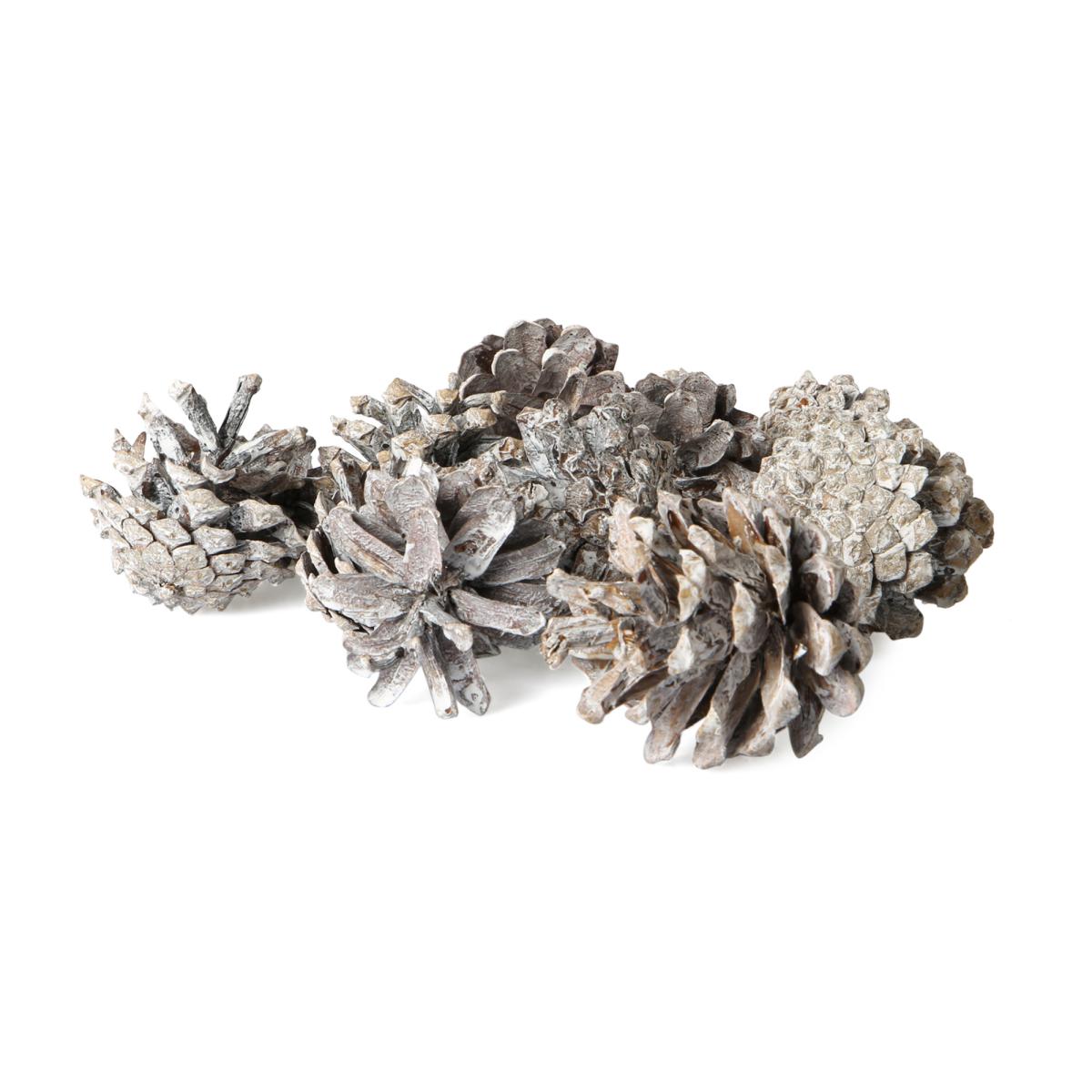 Pinus Silvestris white washed