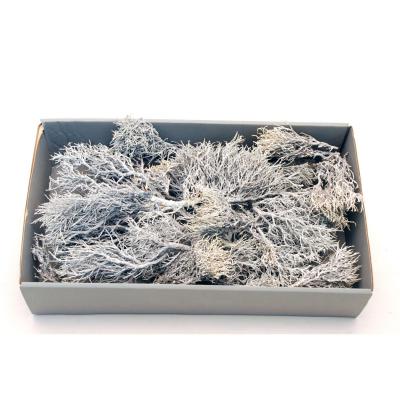 Iron Busch white washed