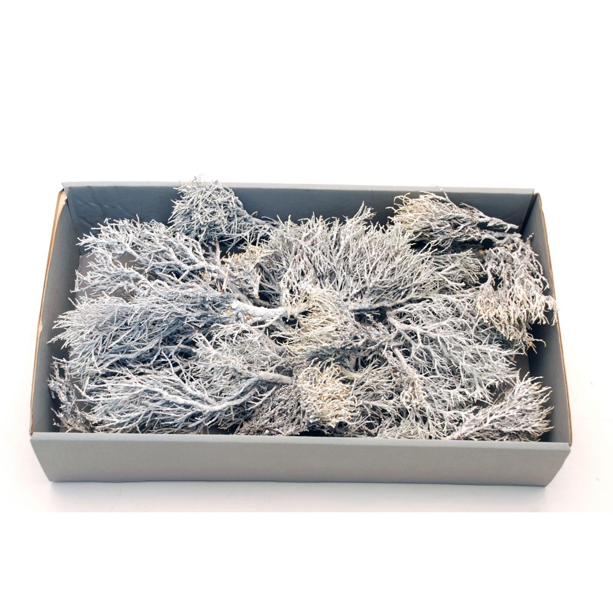 Iron Busch white washed