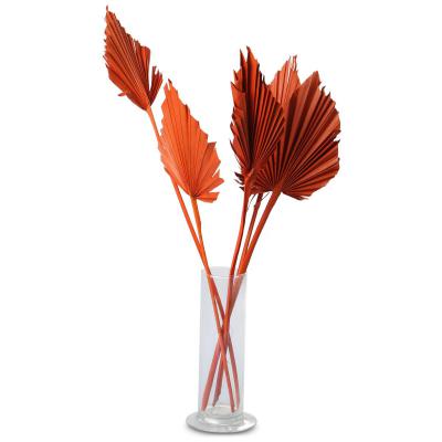Palm Spear farbig orange