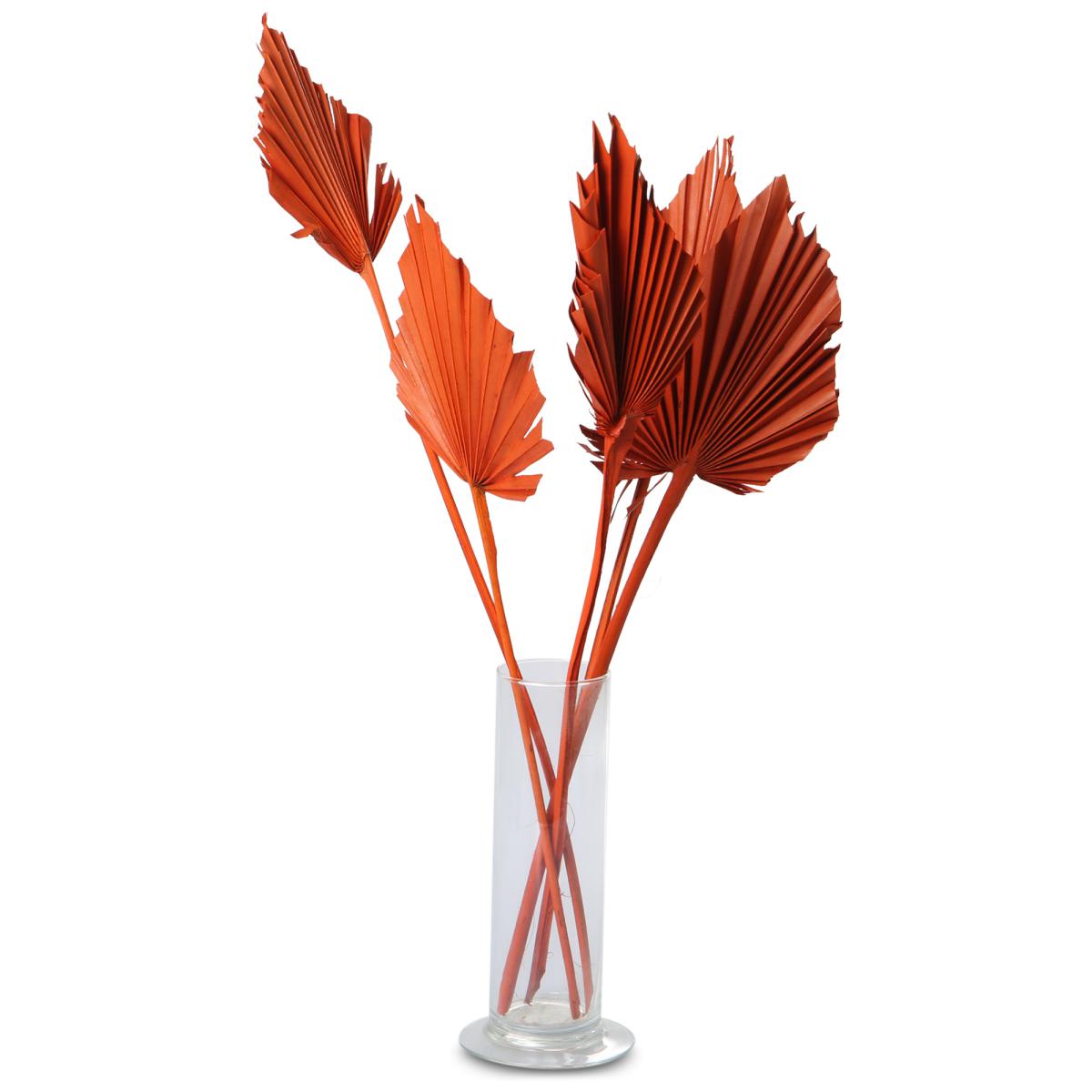 Palm Spear farbig orange