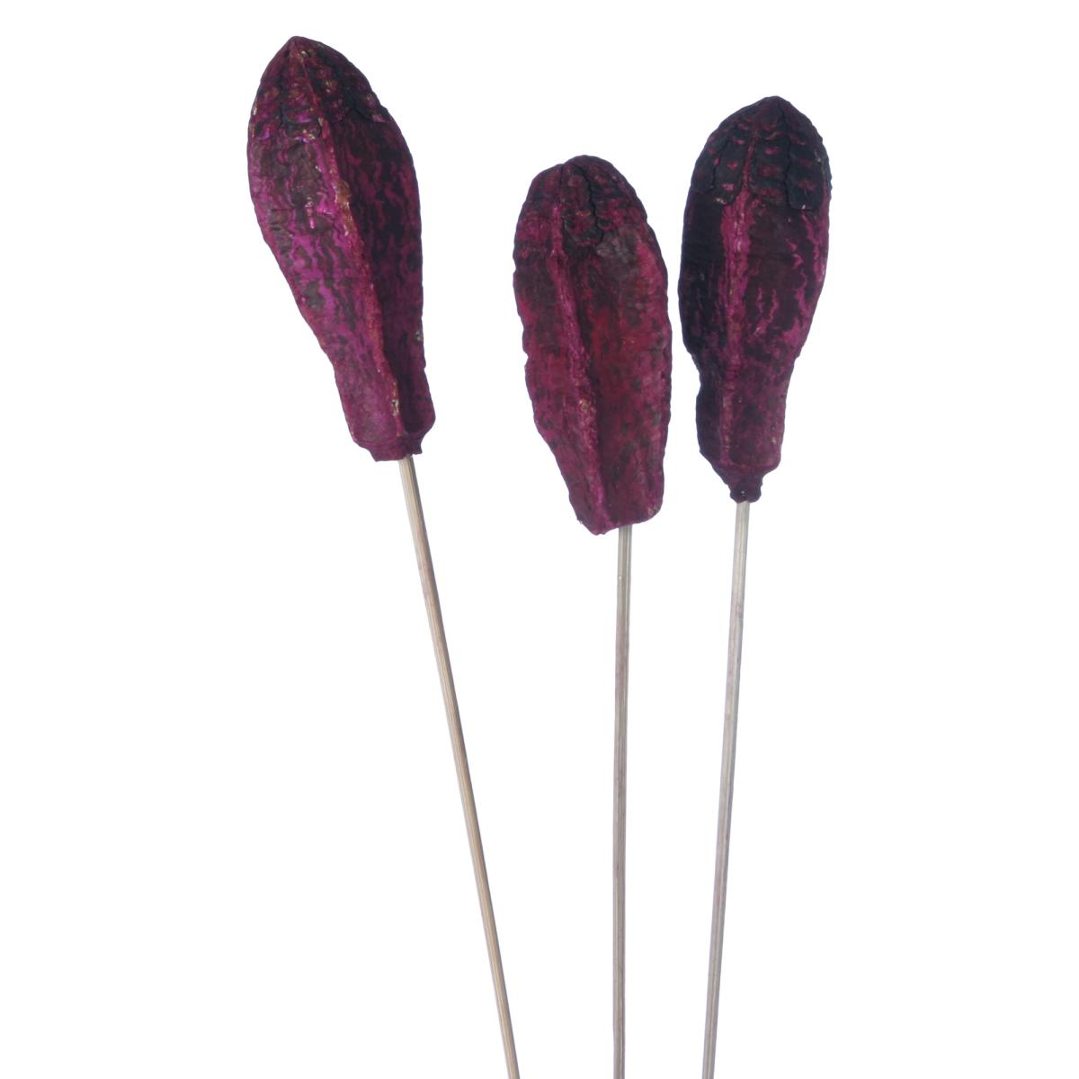 Mehogani farbig gestielt beeren