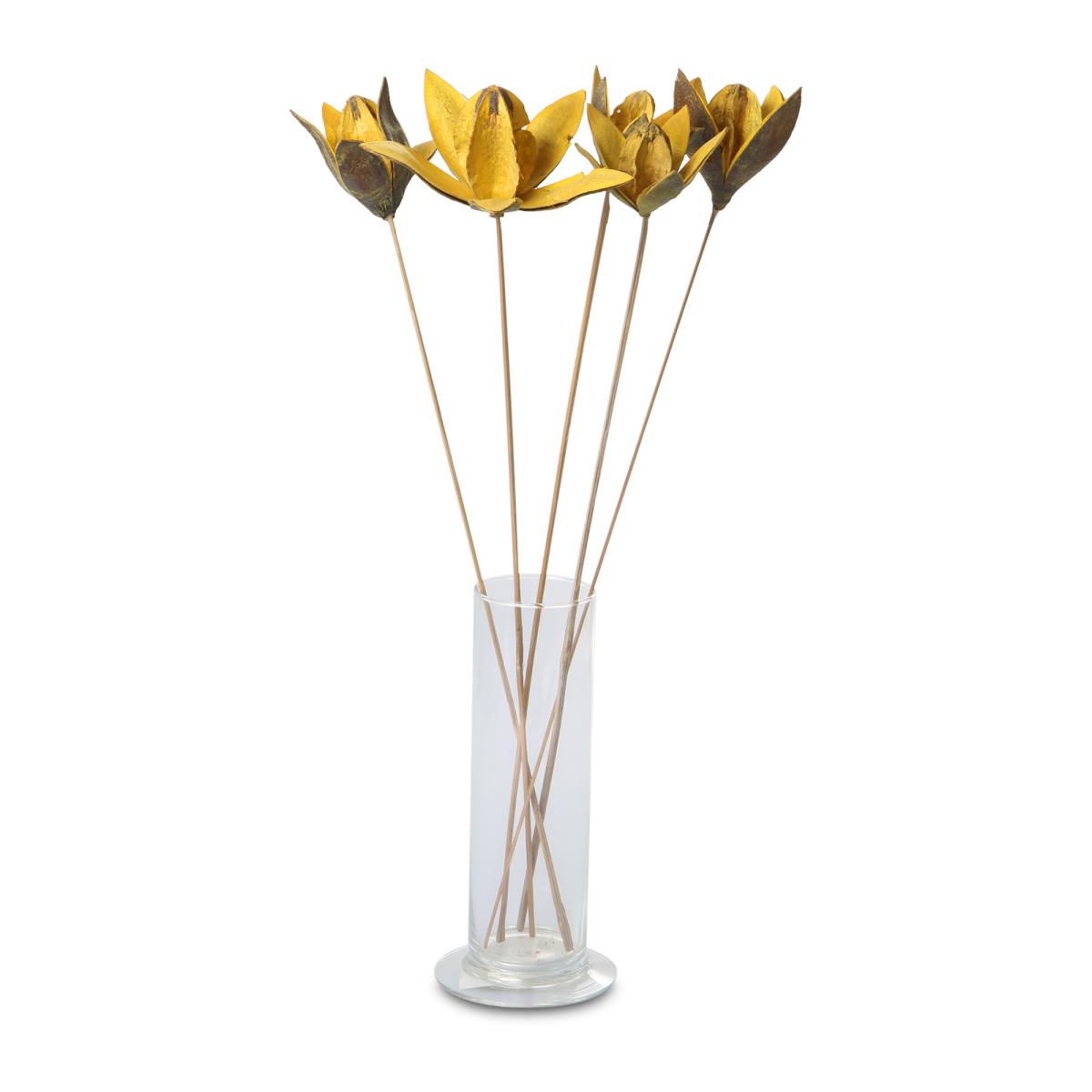 Wildlilie farbig gestielt gelb