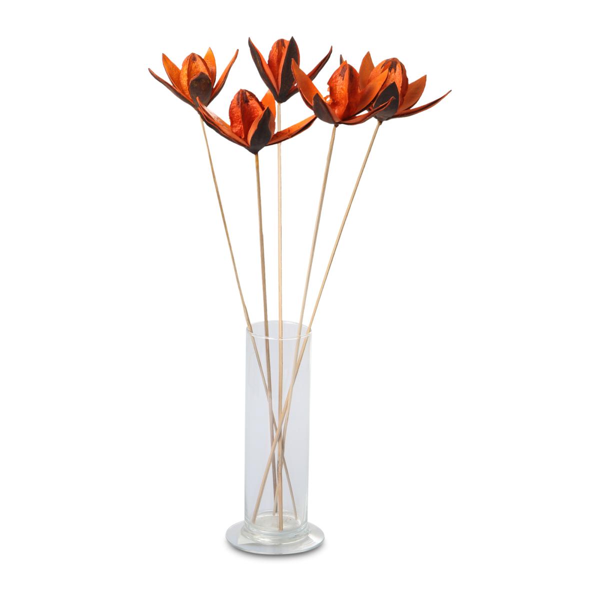 Wildlilie farbig gestielt orange