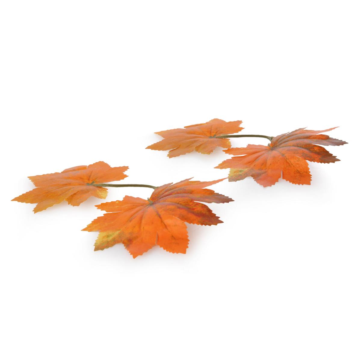 Herbstlaub