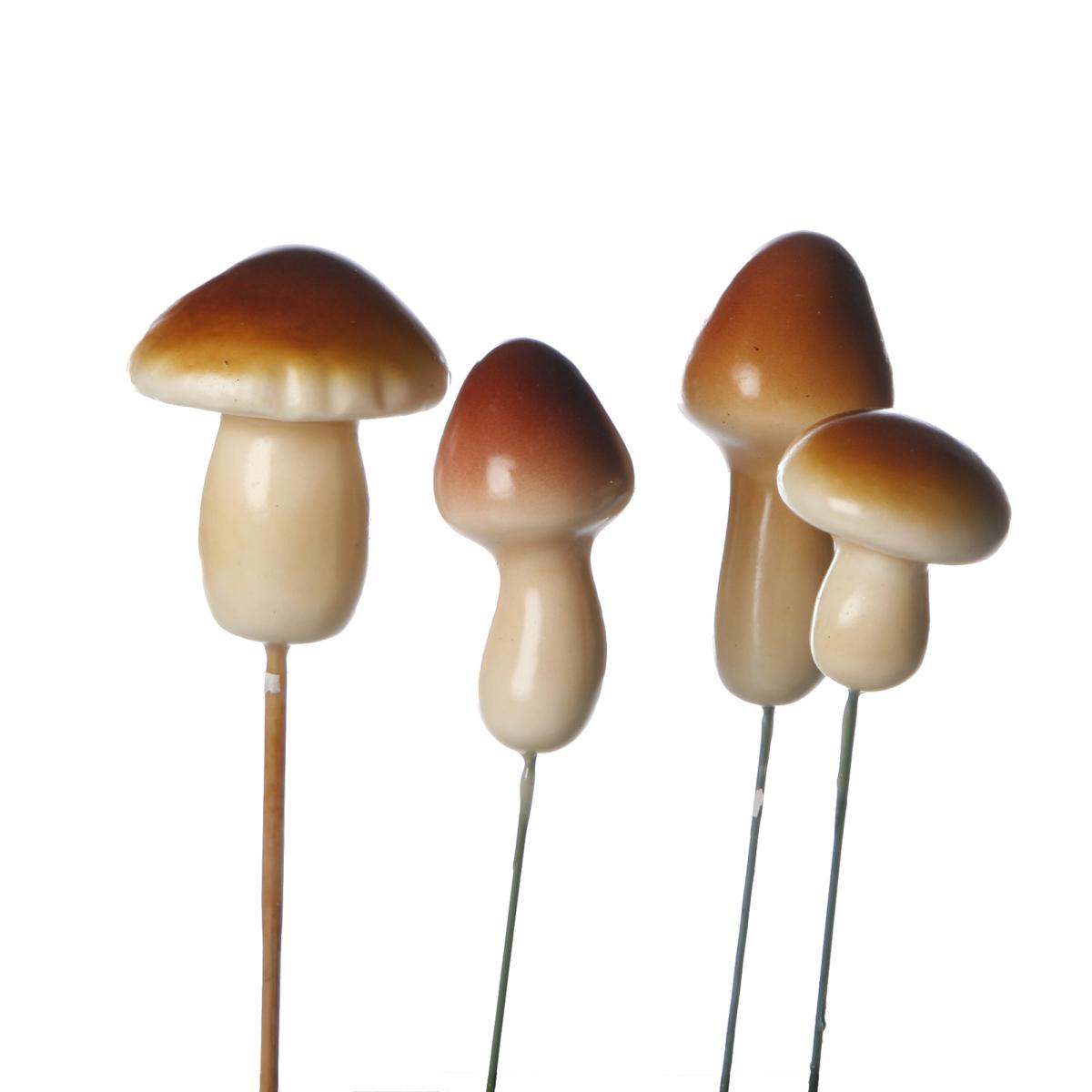 Pilzmischung am Stick