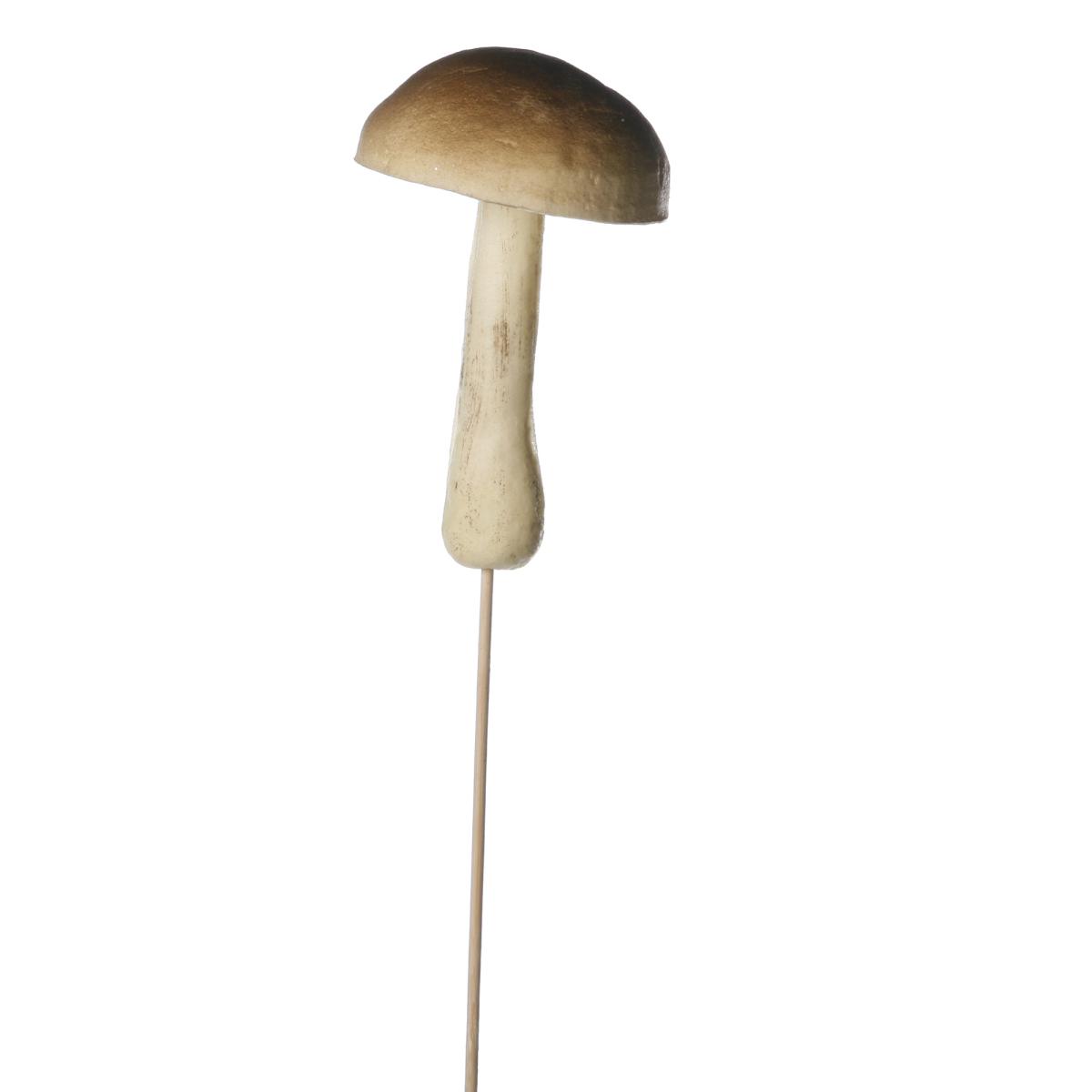 Pilz am Stick