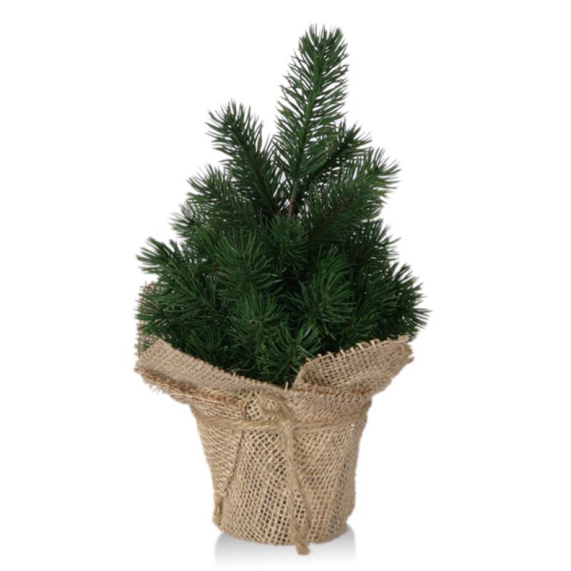 Mini-Tannenbaum im Topf