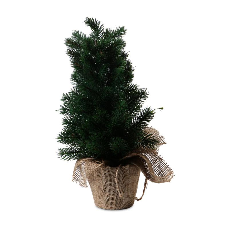 Mini-Tannenbaum im Topf