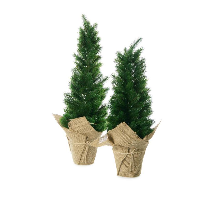 Mini-Tannenbaum im Topf