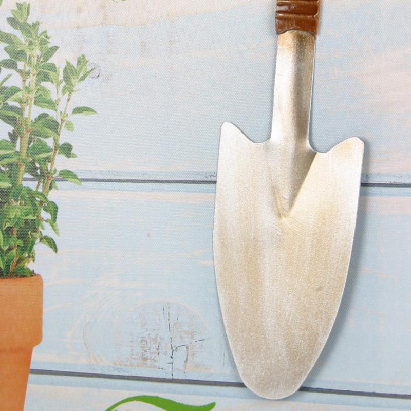 Bild Thymian im Topf mit Blechschaufel