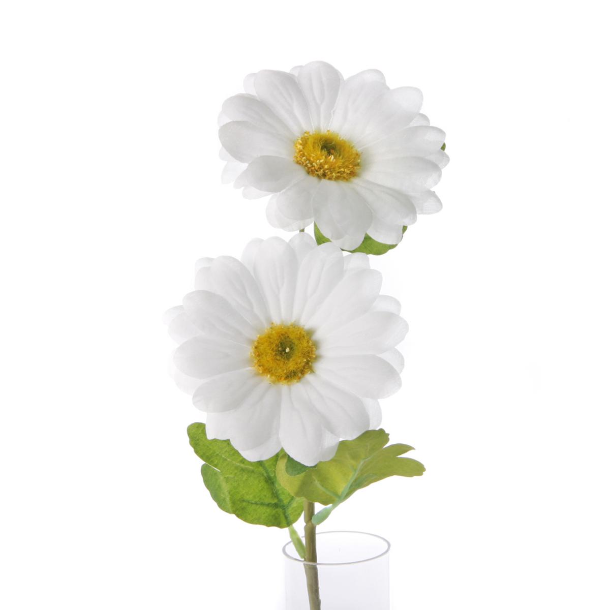 Margeriten-Einstieler