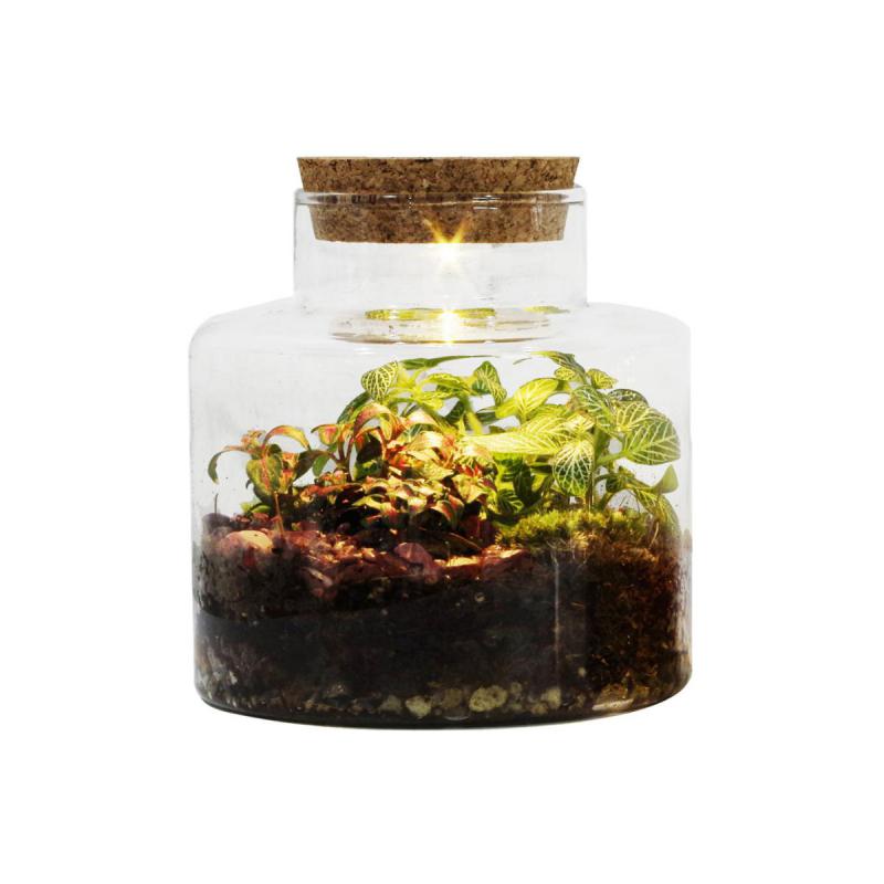 Pflanzgefäß mit LED