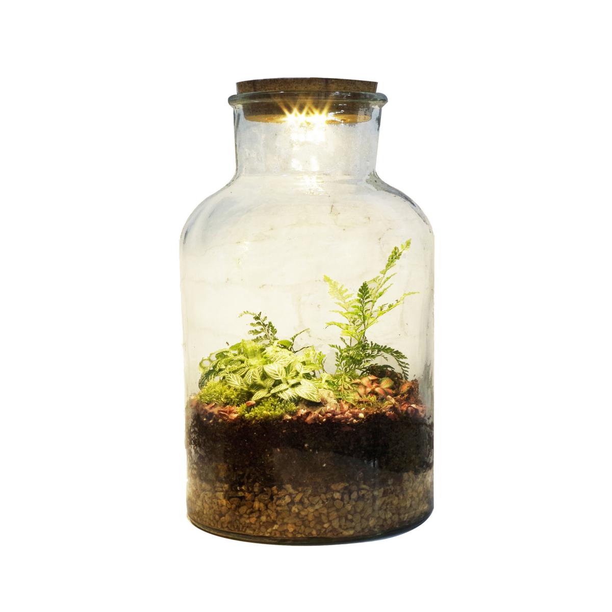 Pflanzgefäß mit LED und Timer