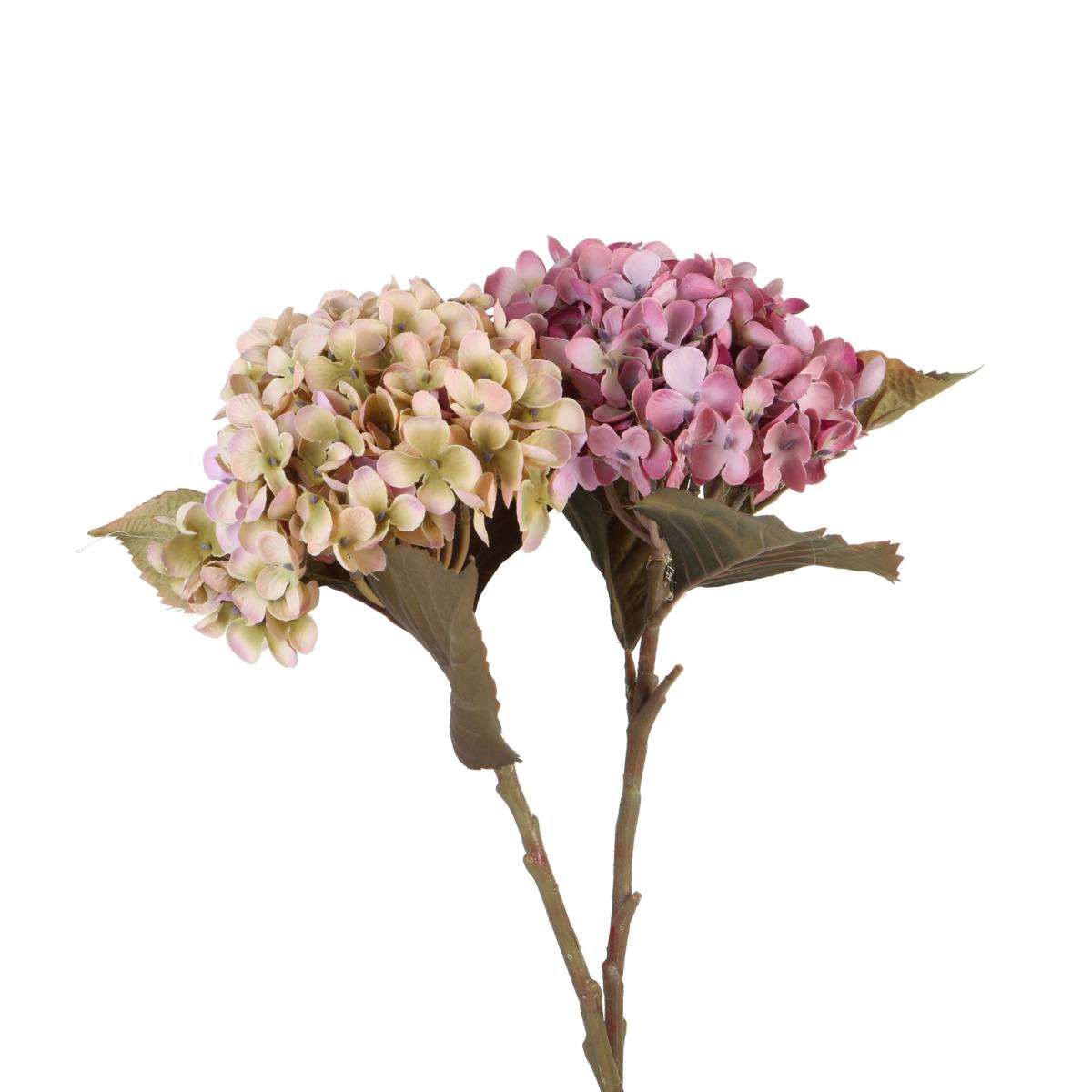 Hortensien Strauß Farbmix