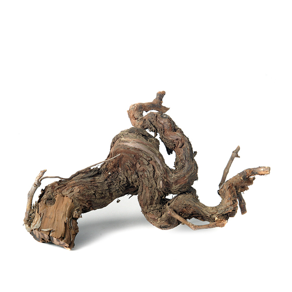 Weinrebe natur 30-35cm