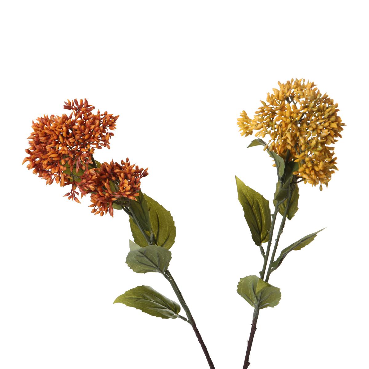 Sedum-Einstieler 2 Blüten Farbmix (2 Farben)