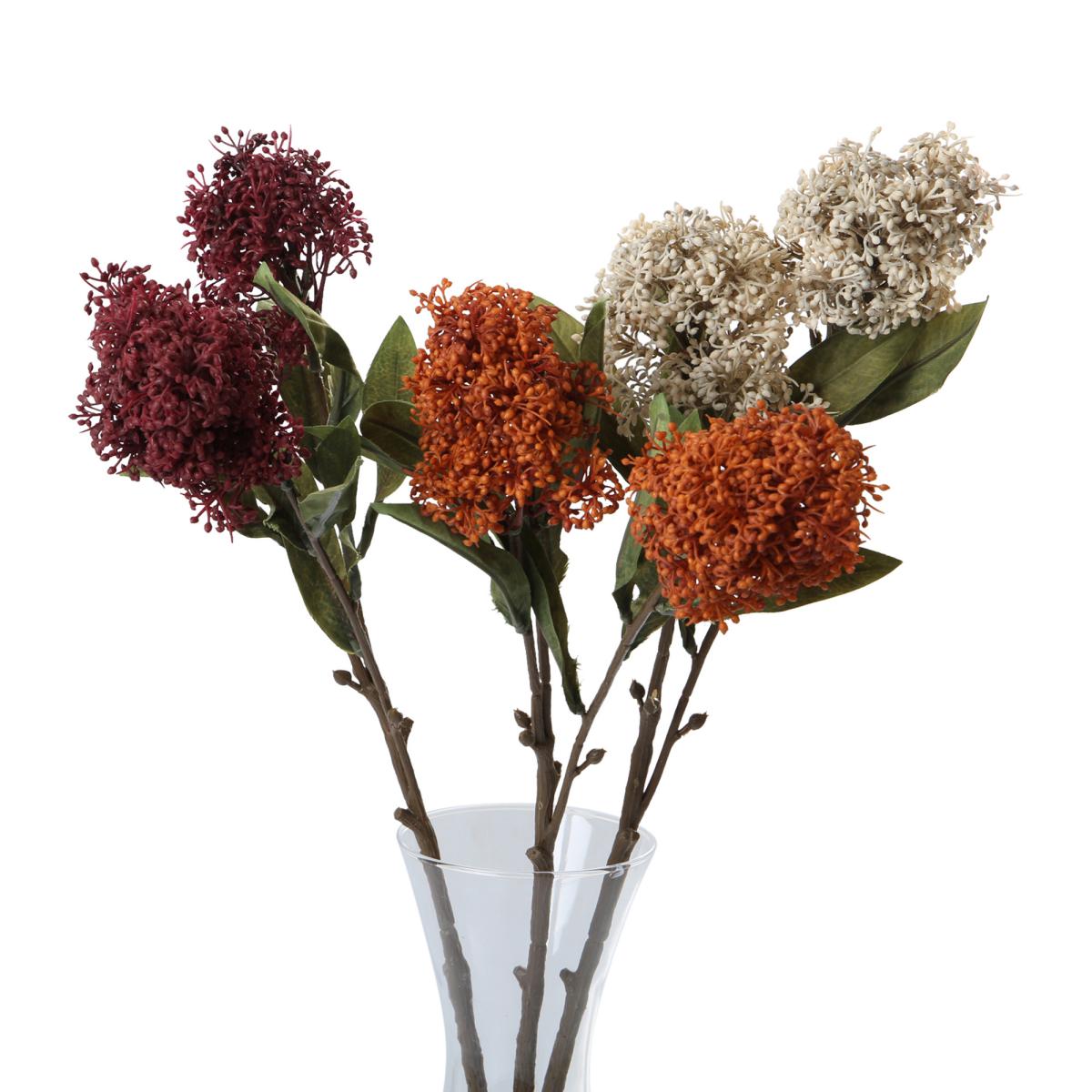 Skimmia-Einstieler Farbmix (3 Farben)